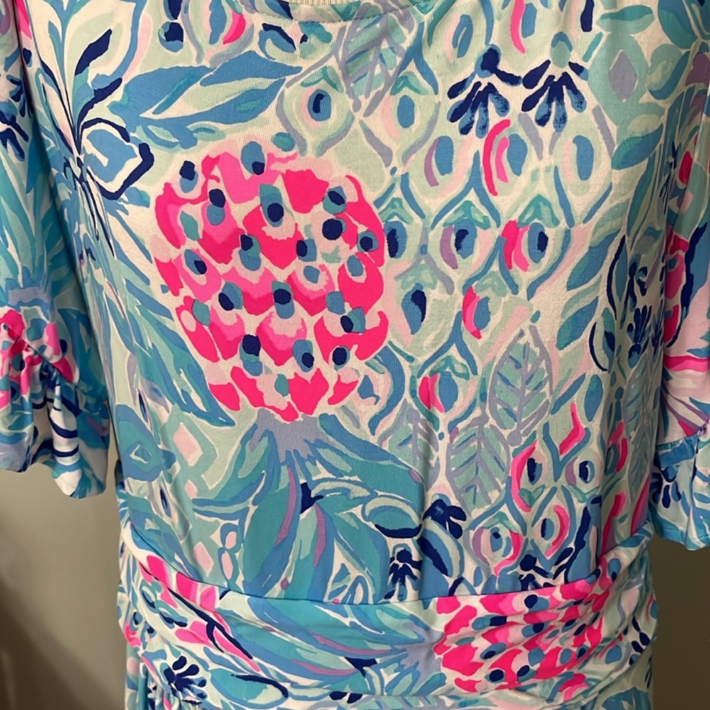 EUC XL dress Lilly Pulitzer - Picture 2 of 2